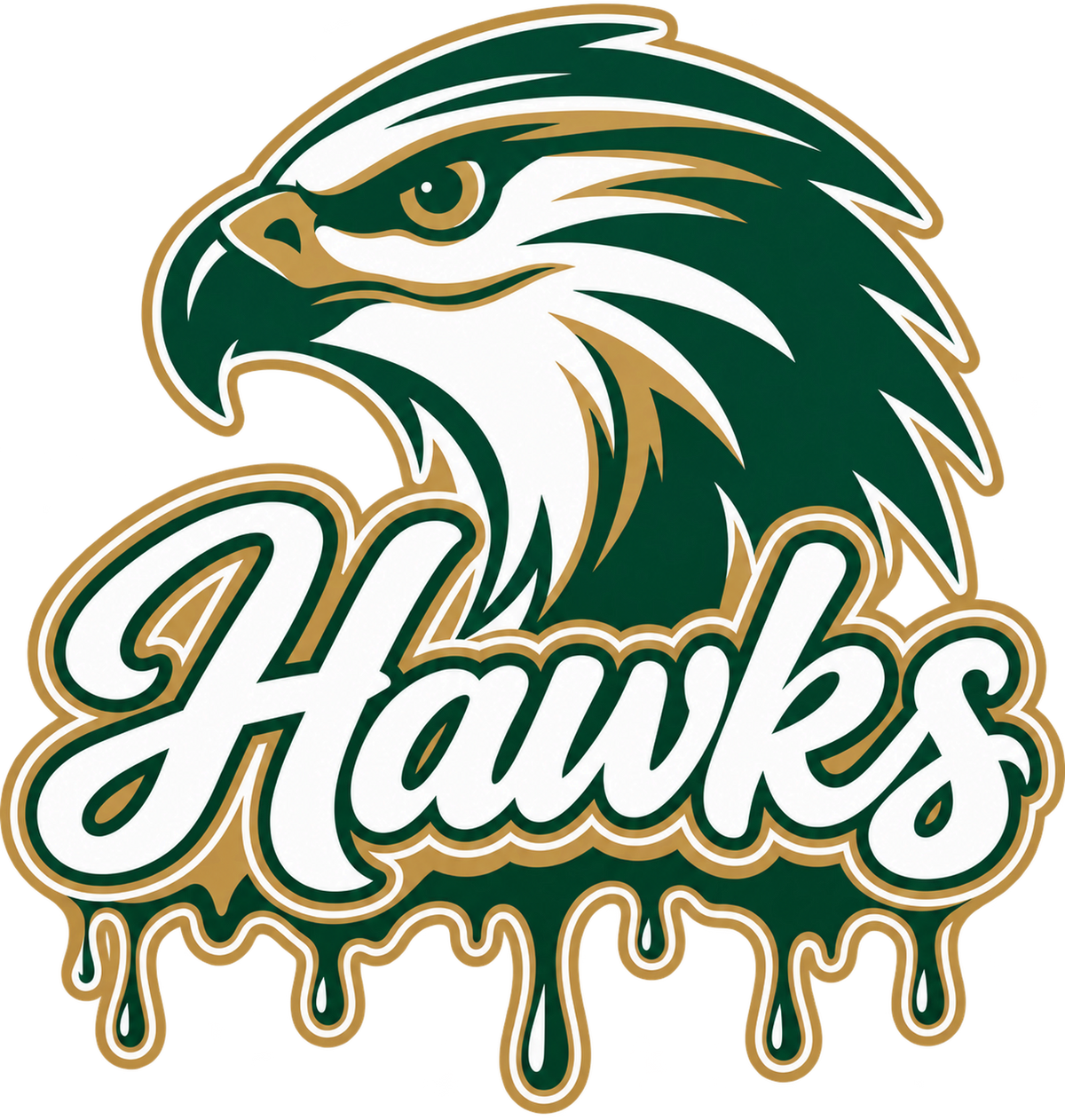 Canyon Lake High School Hawks