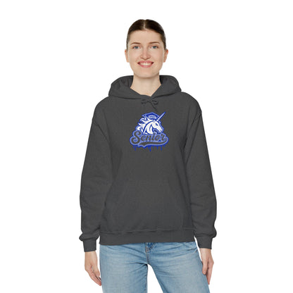 Senior Unicorn Hoodie — Drip Design Graduation Sweatshirt